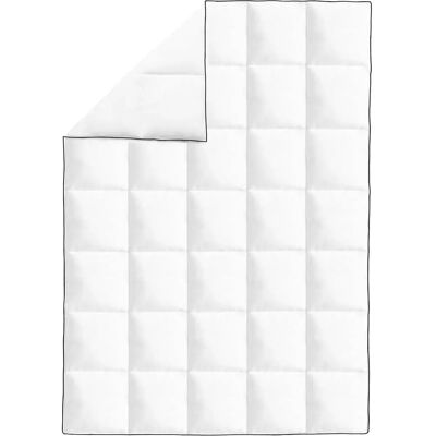 vidaXL 2x Winter Daunendecke 155x220 cm Schlafzimmer Einzelne Schicht Quilt Daunendecke vidaXL 2x Winter Daunendecke 155x220 cm Schlafzimmer Einzelne Schicht Quilt Daunendecke