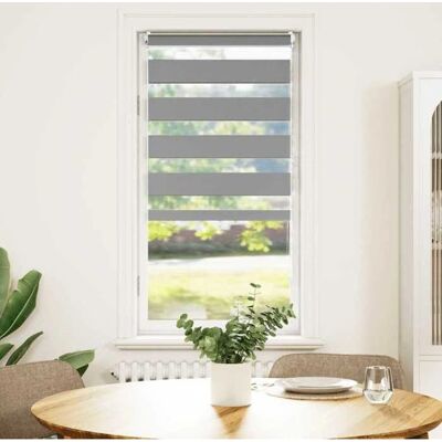 VidaXL Doppelrollo - 40x100cm grau - Rollos VidaXL Doppelrollo - 40x100cm grau - Rollos