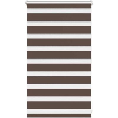 vidaXL Doppel Zebra-Rollo 50x100cm - Privatsphäre & Lichtregulierung vidaXL Doppel Zebra-Rollo 50x100cm - Privatsphäre & Lichtregulierung