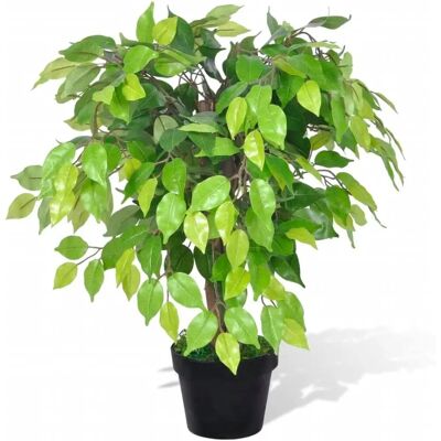 vidaXL Künstlicher Zwerg-Ficus mit Topf - 60 cm - Realistische Zimmer- oder Außenpflanze vidaXL Künstlicher Zwerg-Ficus mit Topf - 60 cm - Realistische Zimmer- oder Außenpflanze