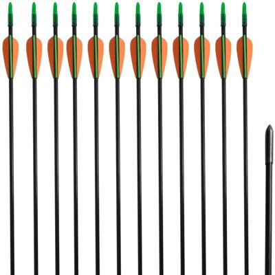 Vida XL Europe B.V. Glasvezel Recurve Pijlen - 12 Stuks Vida XL Europe B.V. Glasvezel Recurve Pijlen - 12 Stuks