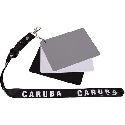 Charte de gris Caruba DGC-2 - Accessoire pour appareil photo - Publicité Charte de gris Caruba DGC-2 - Accessoire pour appareil photo - Publicité