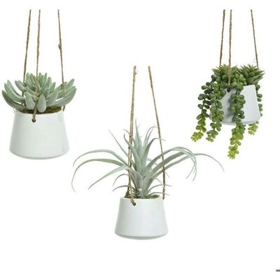 BigBuy Home Dekorative Pflanze Sukkulent 20cm - Decke Dekoration BigBuy Home Dekorative Pflanze Sukkulent 20cm - Decke Dekoration