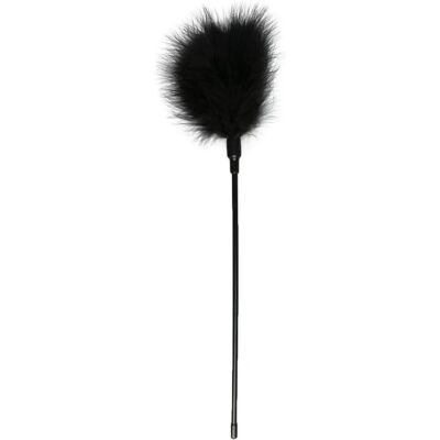 EasyToys Fetish Collection ET253BLK Plume pour sexe - Plume pour sexe EasyToys Fetish Collection ET253BLK Plume pour sexe - Plume pour sexe