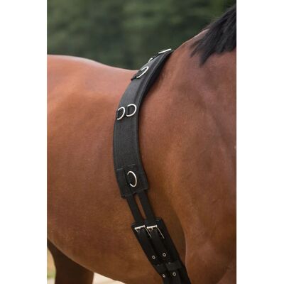 HORKA Pferdesurfaix - Verstellbare Nylon-Übungsvorhang mit Neoprenpolsterung HORKA Pferdesurfaix - Verstellbare Nylon-Übungsvorhang mit Neoprenpolsterung