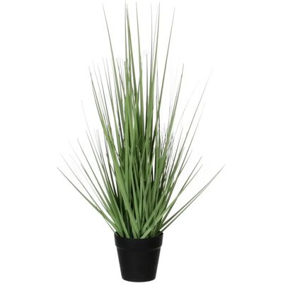 Mica Decorations - Pluimgras in pot - 53 cm Mica Decorations - Pluimgras in pot - 53 cm