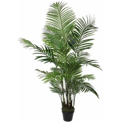 Mica Decorations Künstliche Palme - Ø80X160CM - Grün - Dekorativ Innen/Außen Mica Decorations Künstliche Palme - Ø80X160CM - Grün - Dekorativ Innen/Außen