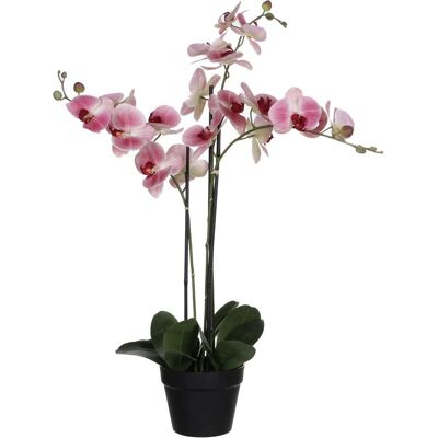 Mica Decorations Pinke Phalaenopsis - 75x51x79 cm Künstliche Pflanze Mica Decorations Pinke Phalaenopsis - 75x51x79 cm Künstliche Pflanze