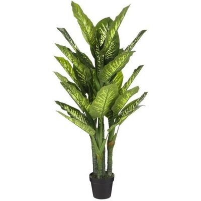 Plante Artificielle Dieffenbachia de Mica Decorations - 150cm - Vert - Décor intérieur - Publicité Plante Artificielle Dieffenbachia de Mica Decorations - 150cm - Vert - Décor intérieur - Publicité