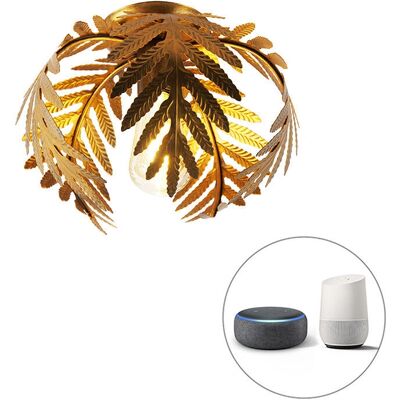 Qazqa Lampada da soffitto botanica vintage oro 24cm WiFi ST64 - Series Botanica Qazqa Lampada da soffitto botanica vintage oro 24cm WiFi ST64 - Series Botanica
