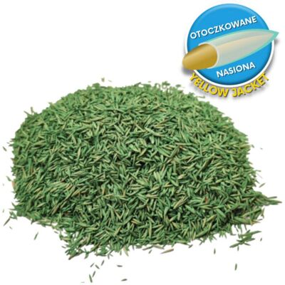 Barenbrug - RPR Play Sport - 15kg - Sport - Mieszanka nasion trawy Barenbrug - RPR Play Sport - 15kg - Sport - Mieszanka nasion trawy