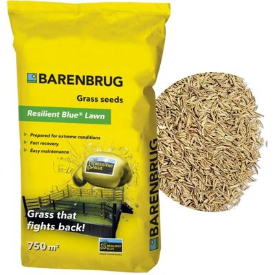 Barenbrug Resilient Blue græsfrø - Ekstreme Forhold 15kg Barenbrug Resilient Blue græsfrø - Ekstreme Forhold 15kg
