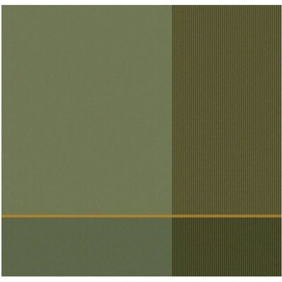 Set van 6 Groene Olijfgroene Keukentextielen - DDDDD Set van 6 Groene Olijfgroene Keukentextielen - DDDDD