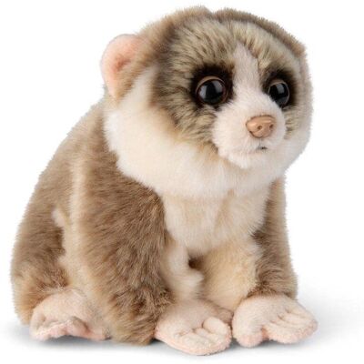 WWF Plüschtier Loris - 18cm - Beige - Öko - Sammelobjekt WWF Plüschtier Loris - 18cm - Beige - Öko - Sammelobjekt