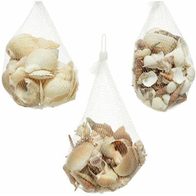 Kaemingk Conchiglie Decorative - 14x14x8cm per Esterni Kaemingk Conchiglie Decorative - 14x14x8cm per Esterni