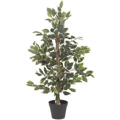 URBN Living - White Tipped 1 - 95cm - Planta - Maceta URBN Living - White Tipped 1 - 95cm - Planta - Maceta