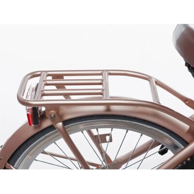 Alpina 22 Clubb Roségoud Mat Fietsendrager - Fietsendrager Alpina 22 Clubb Roségoud Mat Fietsendrager - Fietsendrager