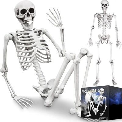 Northix Skelettmodell - 170 cm - Vollgröße Halloween-Dekoration Northix Skelettmodell - 170 cm - Vollgröße Halloween-Dekoration