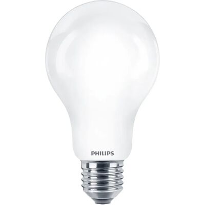 Philips LED Glühbirne 17,5W E27 6500K - Glühlampe Philips LED Glühbirne 17,5W E27 6500K - Glühlampe