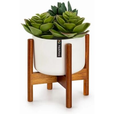 Fox & Fern Thorn Planter - 2 tailles - Publicité Fox & Fern Thorn Planter - 2 tailles - Publicité
