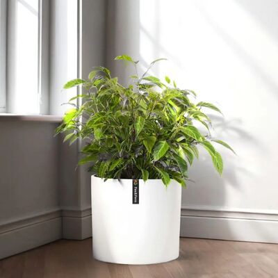 Blumfeldt Pflanzgefäß - Modernes Leichtes Blumentopf Blumfeldt Pflanzgefäß - Modernes Leichtes Blumentopf