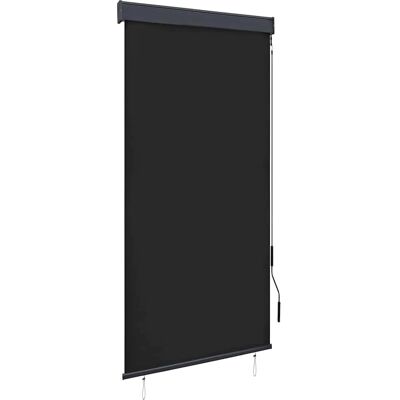 vidaXL Außenrollo - 100 x 250 cm Anthrazit vidaXL Außenrollo - 100 x 250 cm Anthrazit