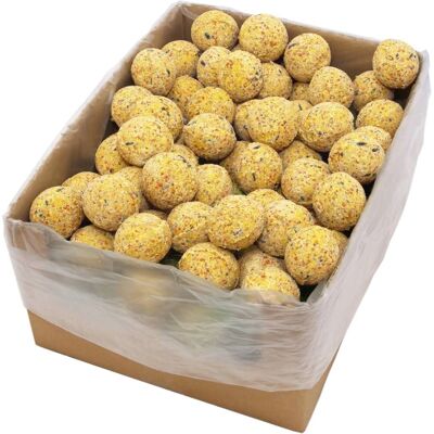 VIDAXL Fugle Fødeboller - 200 stk, 90g - Alle Fuglarter VIDAXL Fugle Fødeboller - 200 stk, 90g - Alle Fuglarter