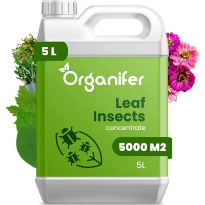 Organifer - Concentré pour Insectes de Feuilles - 5 l - Publicité Organifer - Concentré pour Insectes de Feuilles - 5 l - Publicité