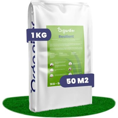 Graines de Gazon Résistantes ORGANIFER 1kg - Réparation Rapide - Publicité Graines de Gazon Résistantes ORGANIFER 1kg - Réparation Rapide - Publicité