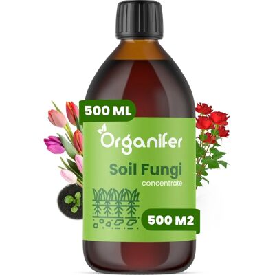 Concentré de Fungi du Sol - Protecteur Naturel des Plantes - Publicité Concentré de Fungi du Sol - Protecteur Naturel des Plantes - Publicité