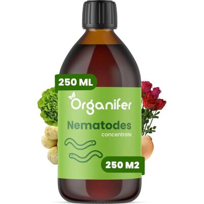 Concentré de Nématodes Organifer - Protection naturelle des plantes - 250 ml - Publicité Concentré de Nématodes Organifer - Protection naturelle des plantes - 250 ml - Publicité