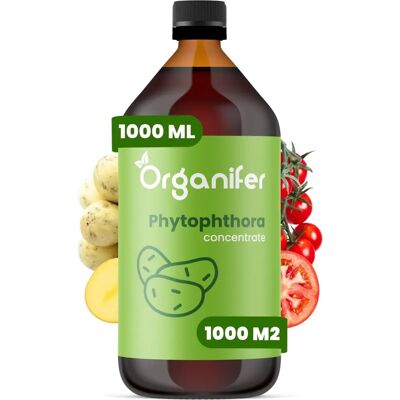 Organifer - Concentré de Phytophthora - 1L pour 1000 m2 - Publicité Organifer - Concentré de Phytophthora - 1L pour 1000 m2 - Publicité