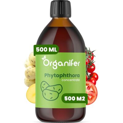 Concentré de Phytophthora Organifer 500ml pour 500 m2 - Publicité Concentré de Phytophthora Organifer 500ml pour 500 m2 - Publicité