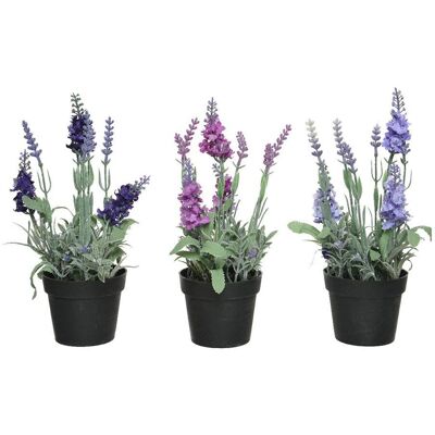 BigBuy Ogród Dekoracyjna Lawenda - Roślina Dekoracyjna 25cm PVC BigBuy Ogród Dekoracyjna Lawenda - Roślina Dekoracyjna 25cm PVC
