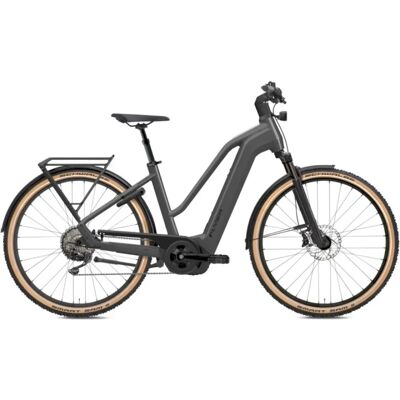 Flyer - GoTour 7.12 XC Mixed - 53 - E-Bike Flyer - GoTour 7.12 XC Mixed - 53 - E-Bike