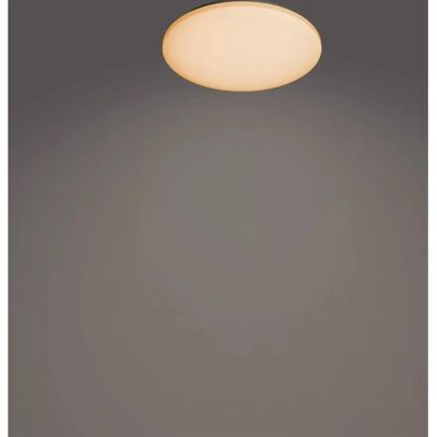 Philips Oprawa sufitowa - 8720169196094 - LED, Pilot, Regulowany Philips Oprawa sufitowa - 8720169196094 - LED, Pilot, Regulowany