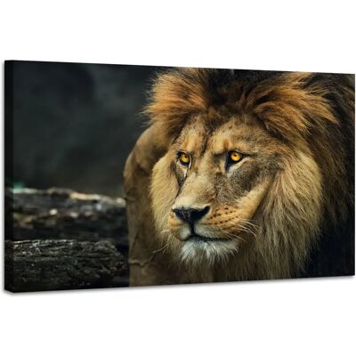 Karo-art Leeuwenportret - 2 Maten - Premium Print Karo-art Leeuwenportret - 2 Maten - Premium Print