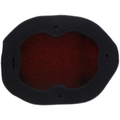 Filtro de aire ignífugo Twin Air para kit - Kawasaki KX 450 2024 Filtro de aire ignífugo Twin Air para kit - Kawasaki KX 450 2024