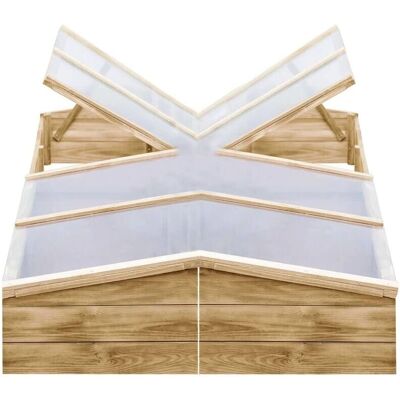 Serre de jardin en bois de pin imprégné 2 pcs - Extérieur Serre de jardin en bois de pin imprégné 2 pcs - Extérieur