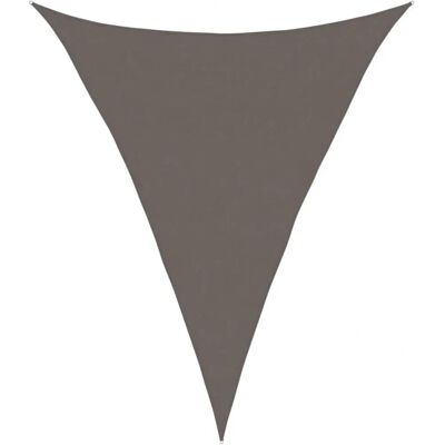 vidaXL Sunshade Sail 160 g/m² Anthracite 4x5x5 m - Sunshade Sail vidaXL Sunshade Sail 160 g/m² Anthracite 4x5x5 m - Sunshade Sail