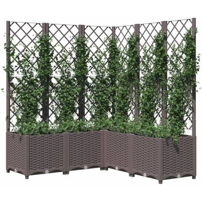 vidaXL Gartenblumenkasten mit Rankgitter Braun - Gartenblumenkasten vidaXL Gartenblumenkasten mit Rankgitter Braun - Gartenblumenkasten