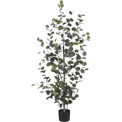 Mica Decorations Künstliche Eukalyptus Pflanze - 150cm - Grün - Innen Mica Decorations Künstliche Eukalyptus Pflanze - 150cm - Grün - Innen