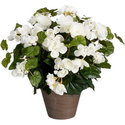 KantoormeubelenPlus Begonia Plante Artificielle en Pot - 37x36 cm - Blanc - Publicité KantoormeubelenPlus Begonia Plante Artificielle en Pot - 37x36 cm - Blanc - Publicité