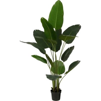 Arbre bananier artificiel vert Mica Decorations - 180cm, 30x30x180cm - Décoration intérieure - Publicité Arbre bananier artificiel vert Mica Decorations - 180cm, 30x30x180cm - Décoration intérieure - Publicité
