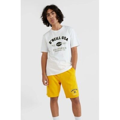 Tricou Alb O'Neill Cu Potrivire Normală - Tricou Tricou Alb O'Neill Cu Potrivire Normală - Tricou