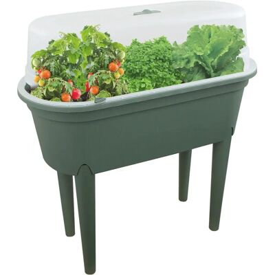 Unmarkierter Pflanzkasten Saatbett Mini-Gewächshaus Blume Pflanze Indoor Outdoor Garten Unmarkierter Pflanzkasten Saatbett Mini-Gewächshaus Blume Pflanze Indoor Outdoor Garten