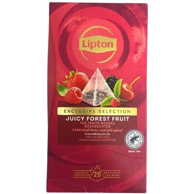 Lipton - Modèle - Feuilles Longues - Fruits - Pyramide - Thé - Publicité Lipton - Modèle - Feuilles Longues - Fruits - Pyramide - Thé - Publicité