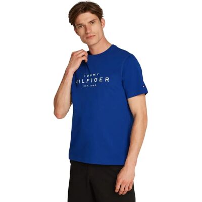 Tommy Hilfiger Big RWB Hilfiger Tee MW0MW37448 T-shirt blå Tommy Hilfiger Big RWB Hilfiger Tee MW0MW37448 T-shirt blå