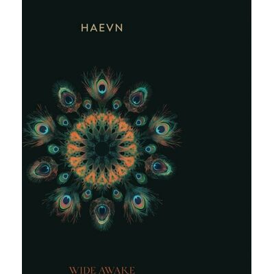 Haevn Wide Awake - Album Muzyczny Haevn Wide Awake - Album Muzyczny