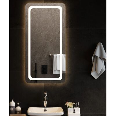 vidaXL LED Badezimmer Spiegel 50x100 cm vidaXL LED Badezimmer Spiegel 50x100 cm
